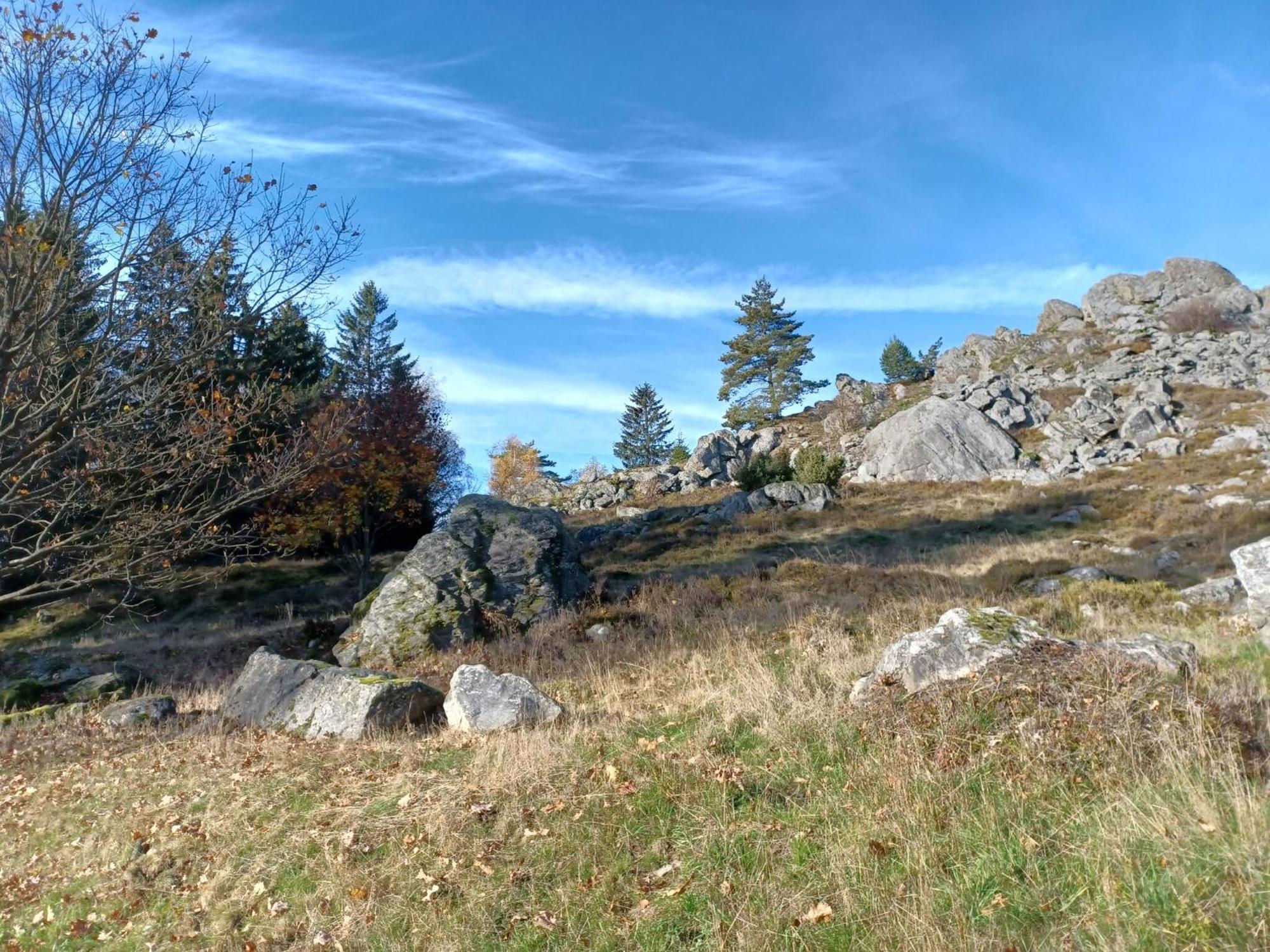 Holiday Home Near The Ski Slope Stadlern 外观 照片