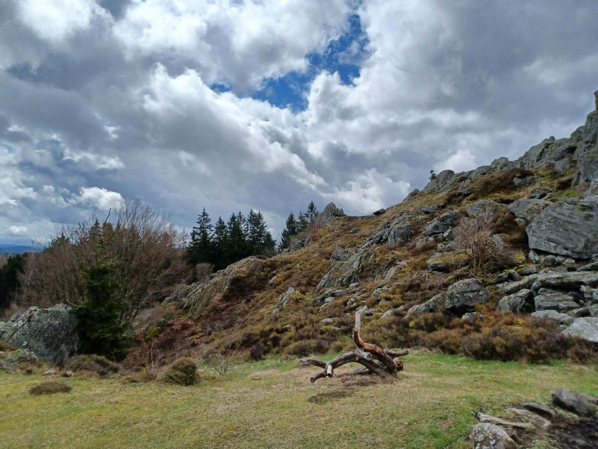 Holiday Home Near The Ski Slope Stadlern 外观 照片