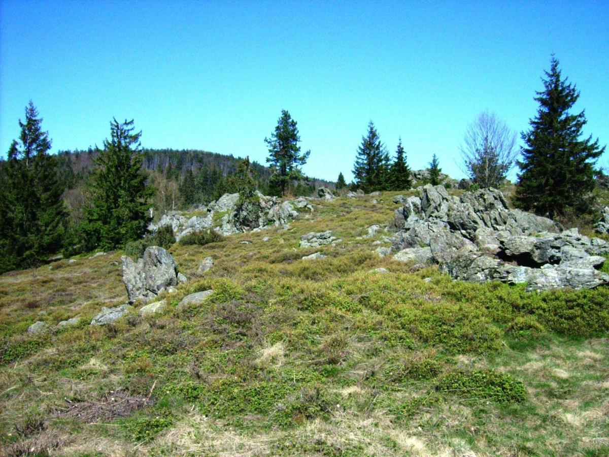 Holiday Home Near The Ski Slope Stadlern 外观 照片