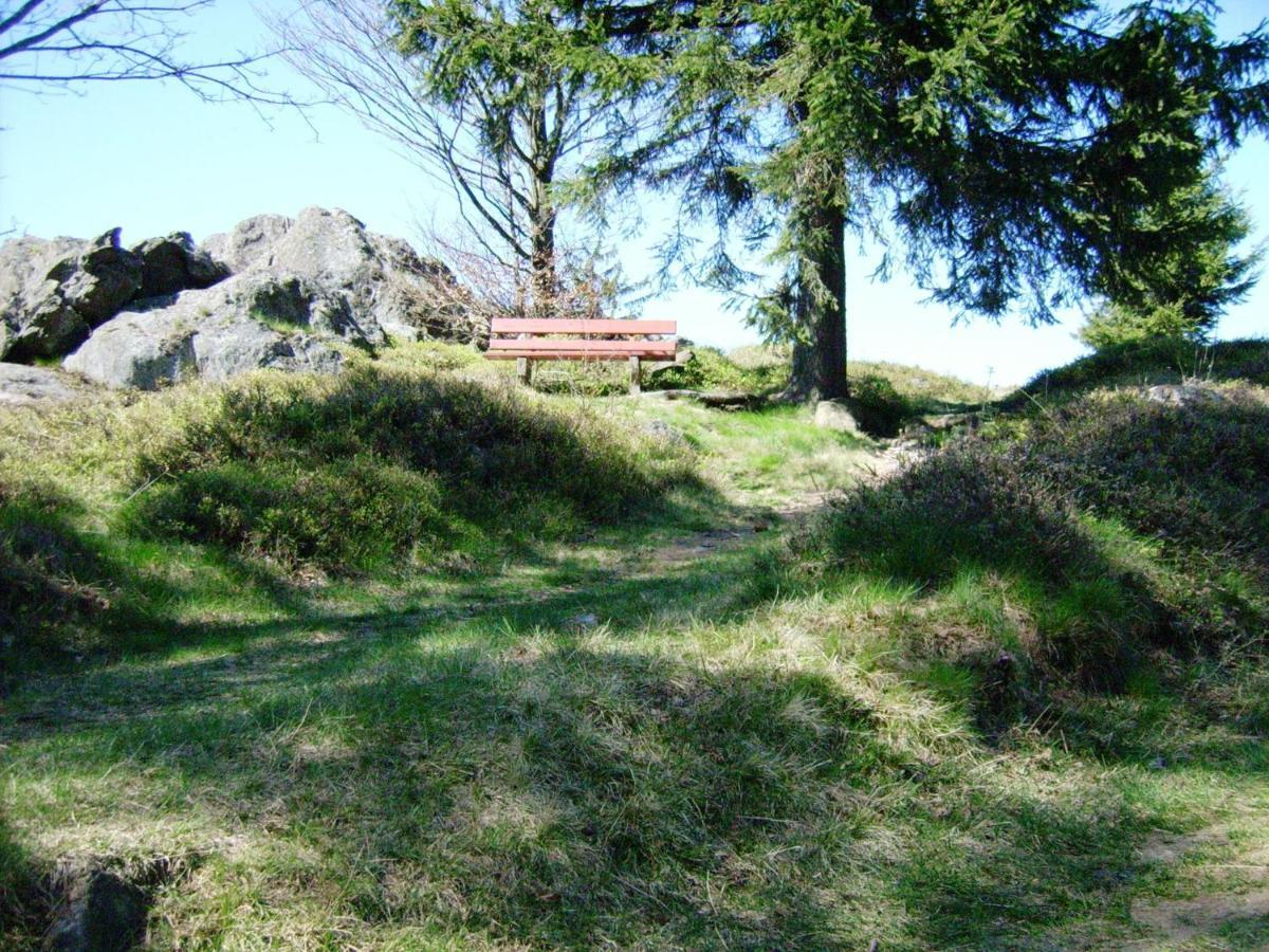 Holiday Home Near The Ski Slope Stadlern 外观 照片
